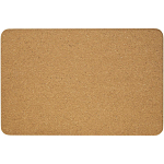 Trikona cork yoga brick 3