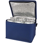 Spectrum 6-can recycled non-woven cooler bag 4L 1