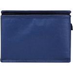Spectrum 6-can recycled non-woven cooler bag 4L 3