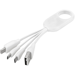 The Troup 4-in-1 Charging Cable with Type-C 1
