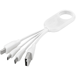 Troup 4-in-1 charging cable with type-C tip 1
