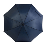 Automatic umbrella with wood shaft, ferrule and handle 2