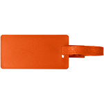 River recycled window luggage tag 4