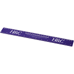 Renzo 30 cm plastic ruler 2