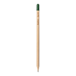 Sprout pencil made of sustainable wood with graphite lead. plantable after use 3
