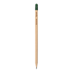 Sprout pencil made of sustainable wood with graphite lead. plantable after use 4