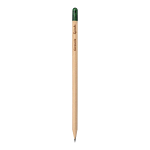 Sprout pencil made of sustainable wood with graphite lead. plantable after use 4