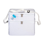 R-pet cooler bag with silver interior 2