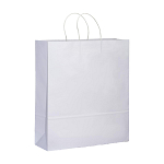 100 gr/m2 paper shopping bag with guesset 1