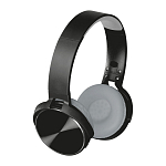 Earphones 1