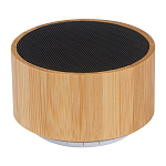 Bluetooth speaker with bamboo coating 1