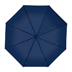 Automatic pocket umbrella with carabiner handle 2