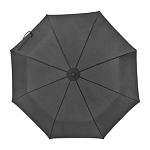 Pocket umbrella 1