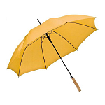 Automatic walking-stick umbrella 1