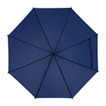 Automatic walking-stick umbrella 1