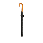 Automatic umbrella 3