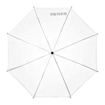 Automatic umbrella 2