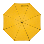 Automatic umbrella 1