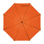 Automatic umbrella 2