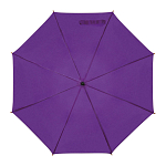 Automatic umbrella 2