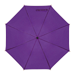 Automatic umbrella 1