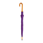Automatic umbrella 3