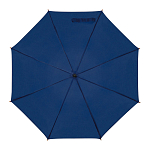 Automatic umbrella 2