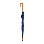 Automatic umbrella 3