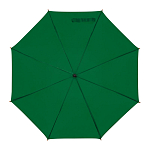 Automatic umbrella 1