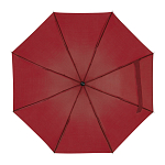 Telescope collapsible umbrella 1