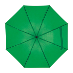 Telescope collapsible umbrella 2