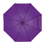 Telescope collapsible umbrella 2