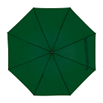 Telescope collapsible umbrella 1