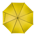 Automatic umbrella, plastic handle 1