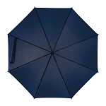 Automatic umbrella, plastic handle 1