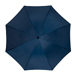 Automatic umbrella, plastic handle 2