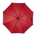 Automatic umbrella 2