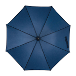 Automatic umbrella 2