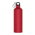 800ml Drinking bottle with snap hook 1