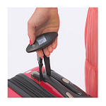 Luggage scale 2