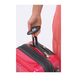 Luggage scale 3