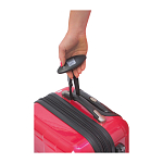 Luggage scale 4