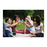 Fleece picnic and sofa blanket 4