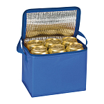 Polyester cooler bag 2