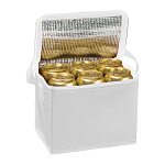 Polyester cooler bag 2