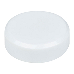 Magnet 1
