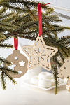 felicitare de Craciun, stea, TreeCard Eco 3