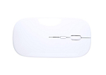 mouse optic RABS, Rabick 2