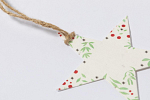 Ornament pentru brad de Craciun, stea, Boster 2