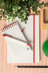 Pix din carton reciclat al cutiilor de lapte, Relact Scrib 4